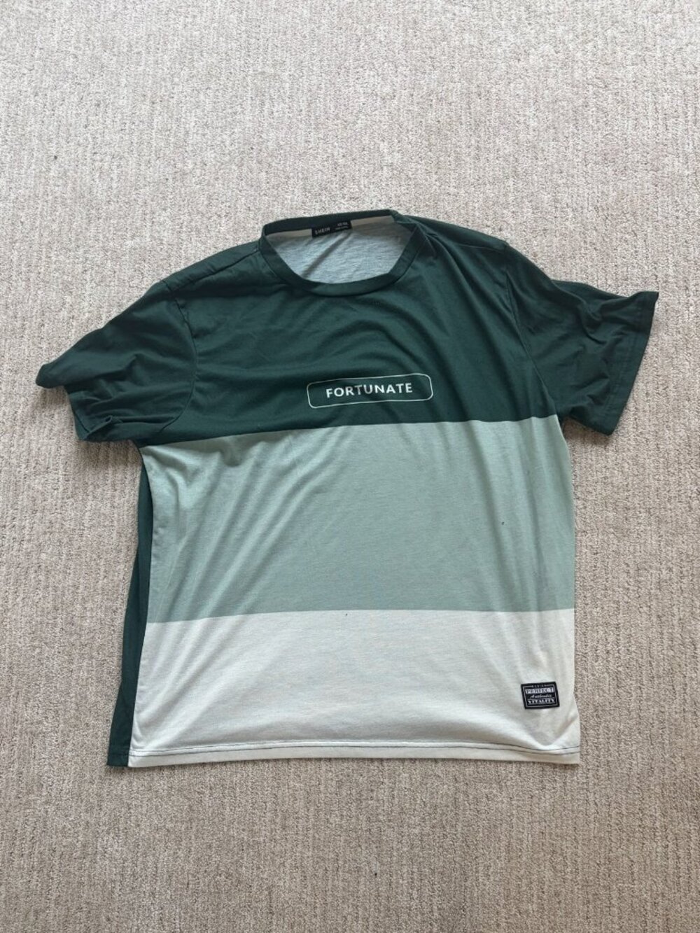 SHEIN Men's Green Mint Colorblock Graphic Tee XL